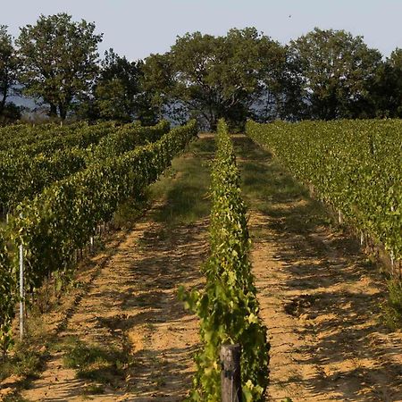Agriturismo Le Baccane Винчи Экстерьер фото