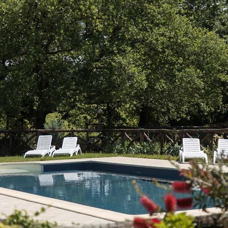 Agriturismo Le Baccane Винчи Экстерьер фото