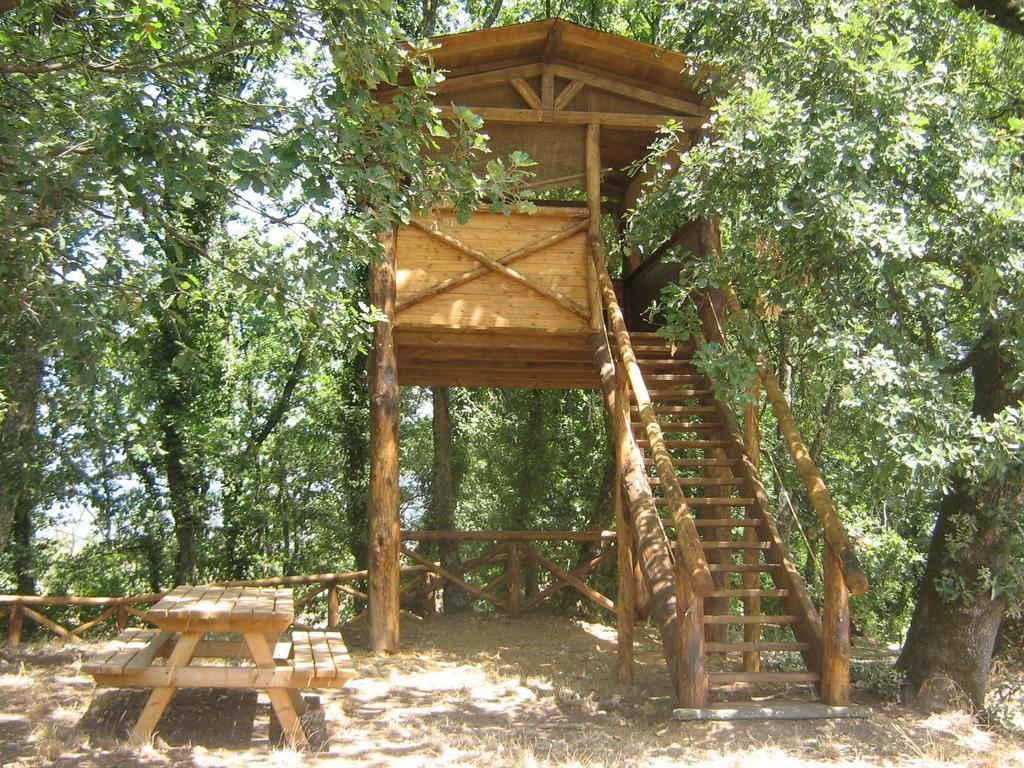 Agriturismo Le Baccane Винчи Экстерьер фото
