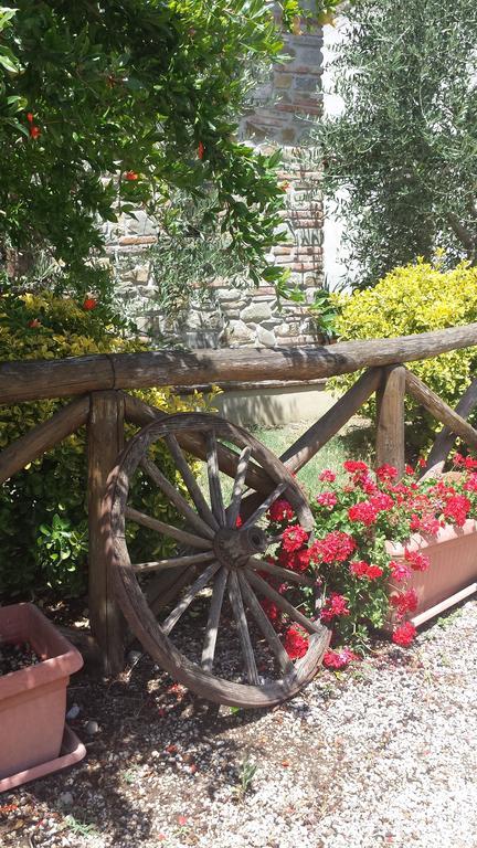 Agriturismo Le Baccane Винчи Экстерьер фото